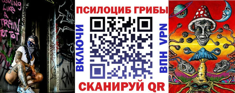 Псилоцибиновые грибы MAGIC MUSHROOMS  Купить  Жуковка 